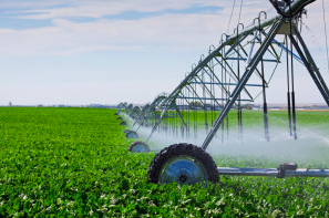 irrigation